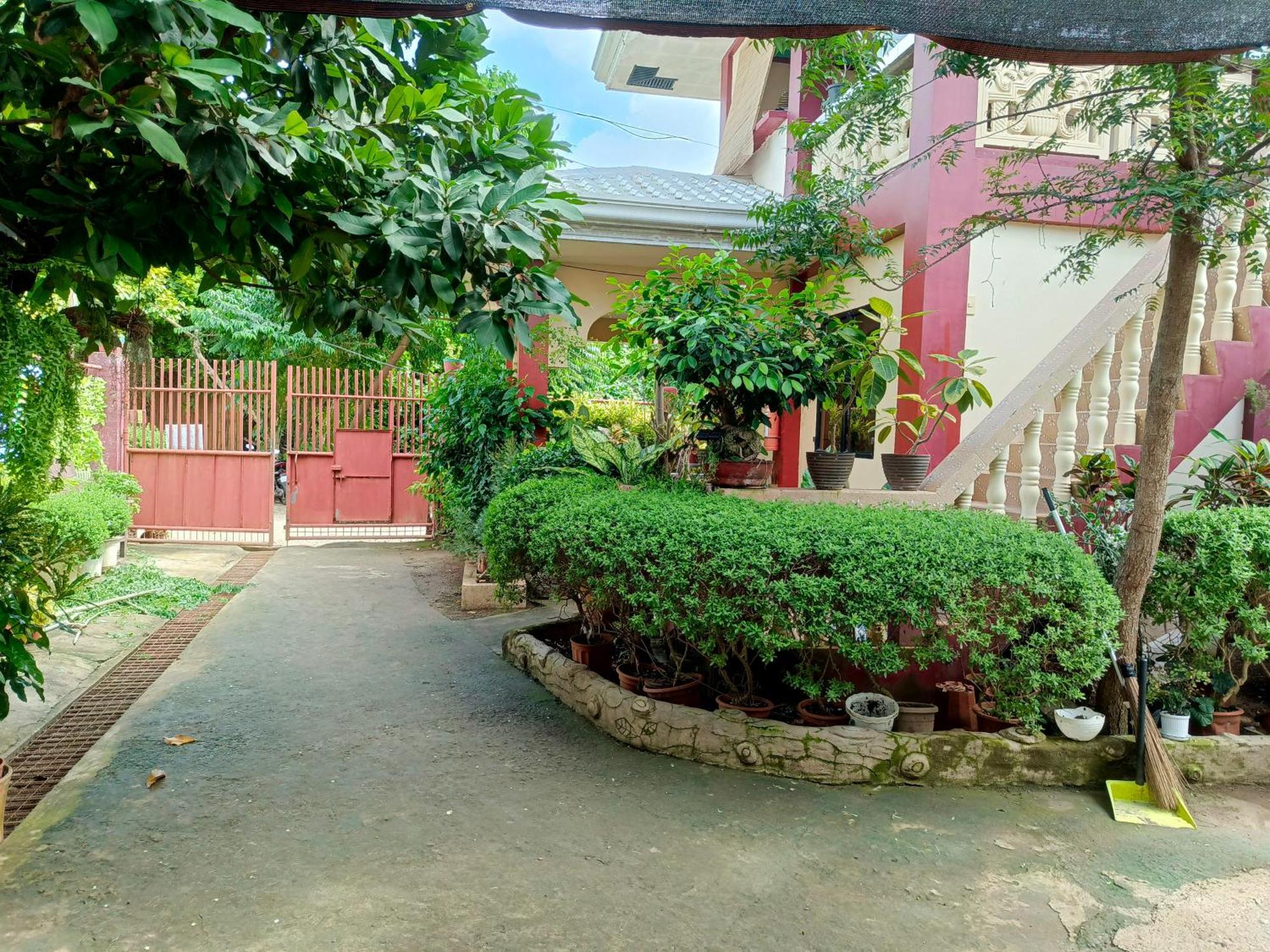 Peace Lily Studio Apartments بنغلاو المظهر الخارجي الصورة