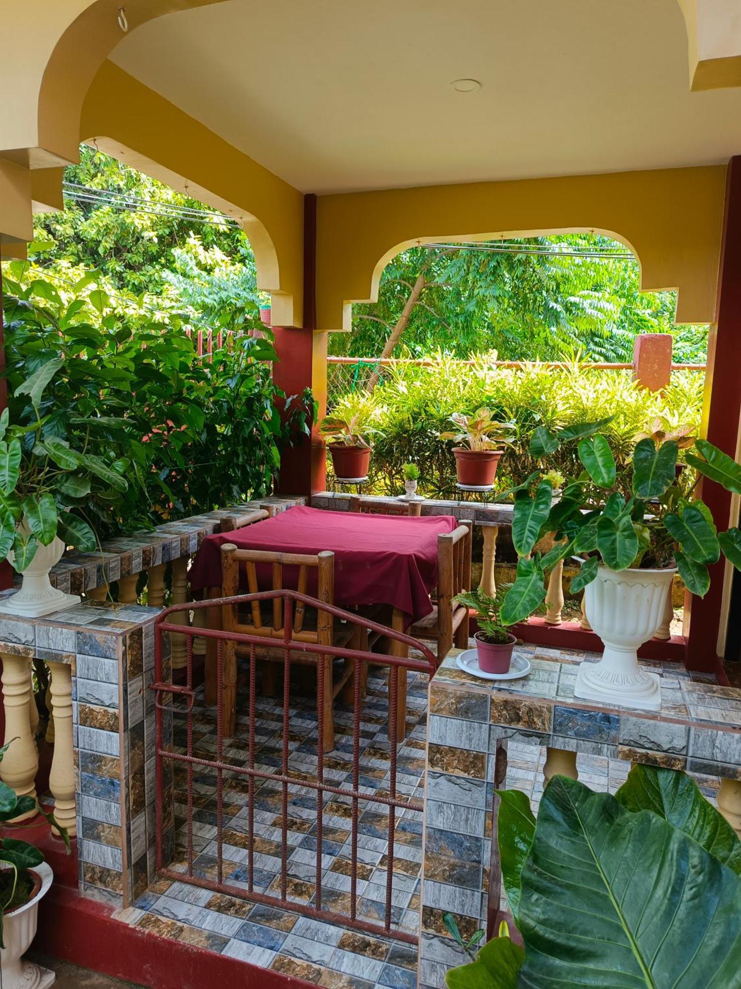 Peace Lily Studio Apartments بنغلاو الغرفة الصورة