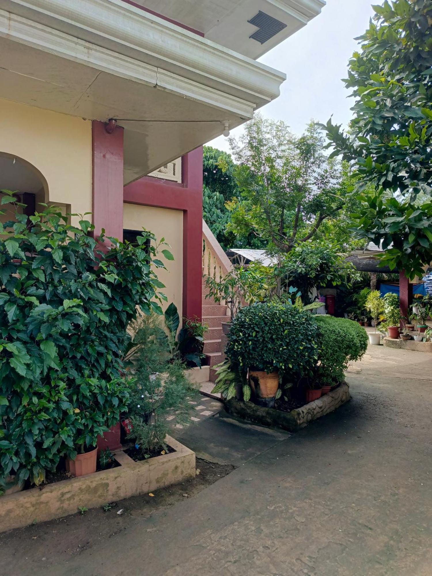 Peace Lily Studio Apartments بنغلاو المظهر الخارجي الصورة
