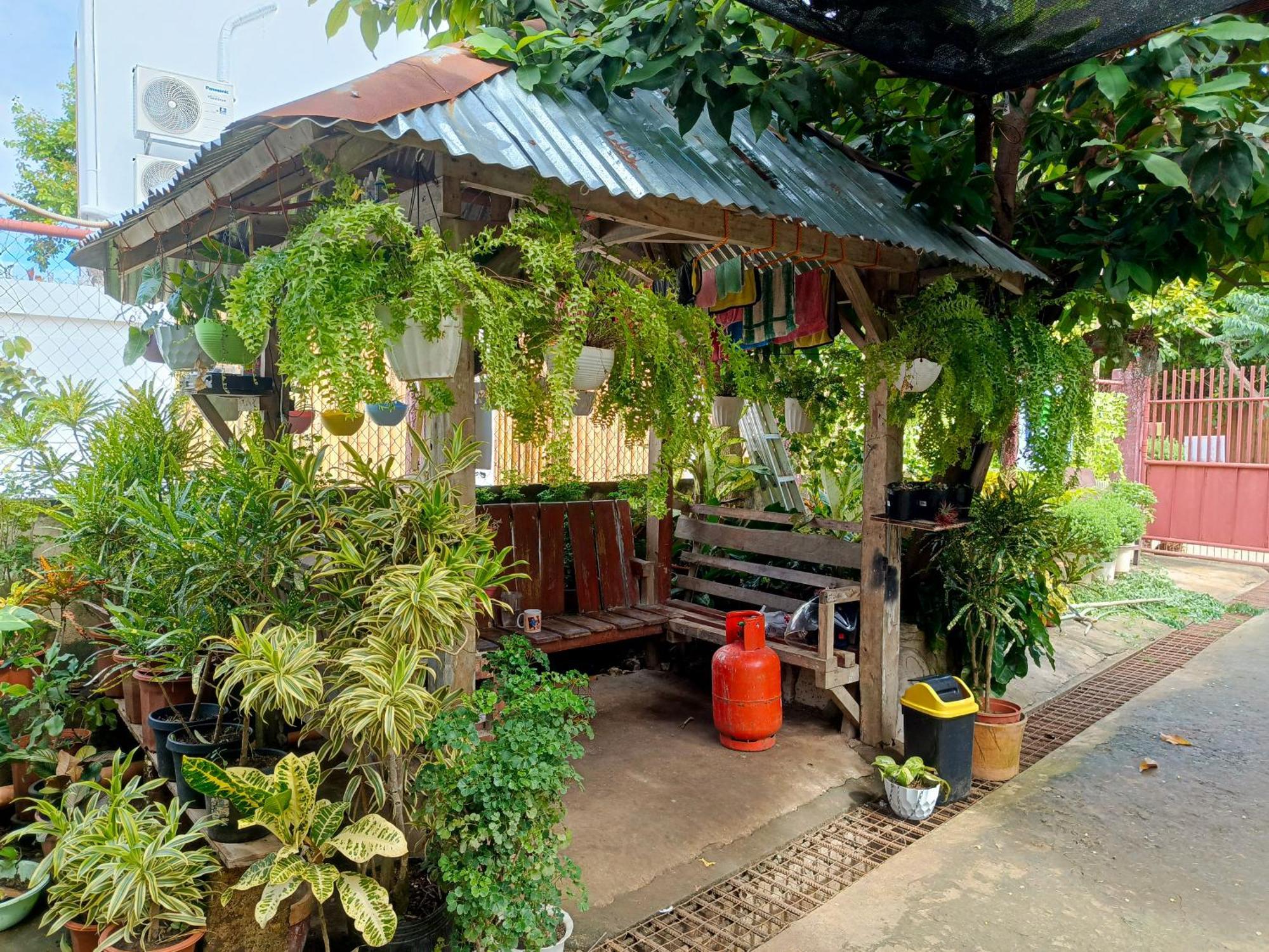 Peace Lily Studio Apartments بنغلاو المظهر الخارجي الصورة